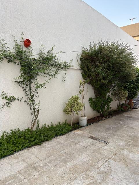 Villa in Korba